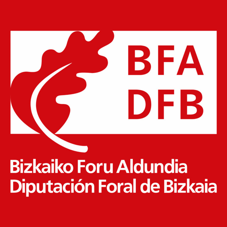 Diputación foral de bizkaia