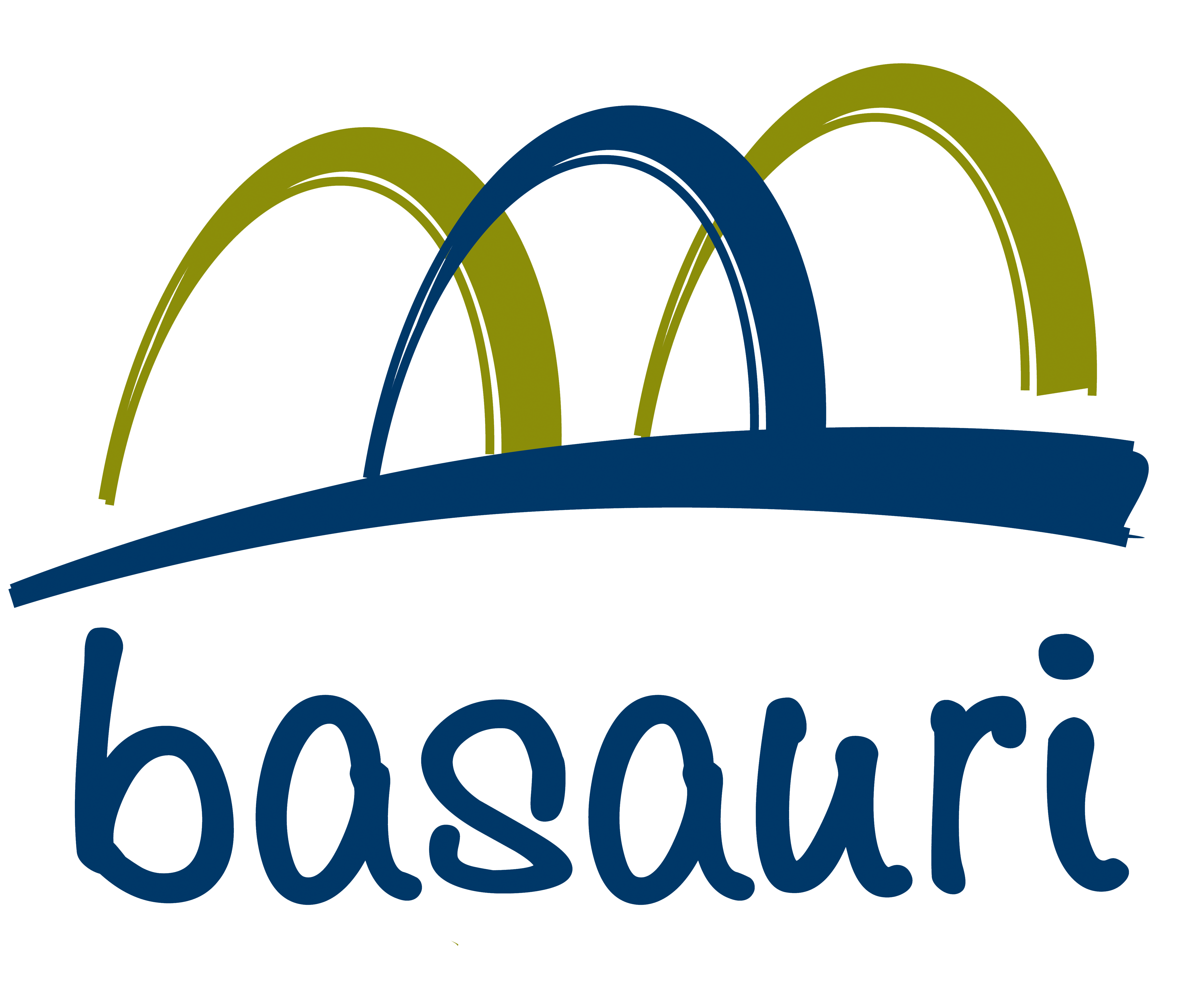 asociación de comerciantes de basauri